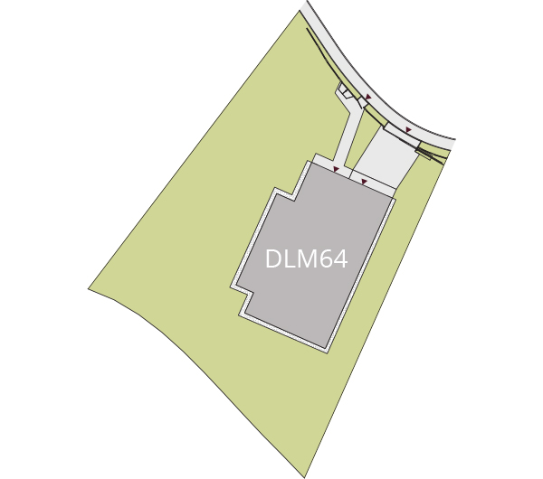 DLM64